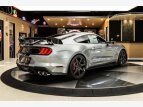 Thumbnail Photo 12 for 2021 Ford Mustang